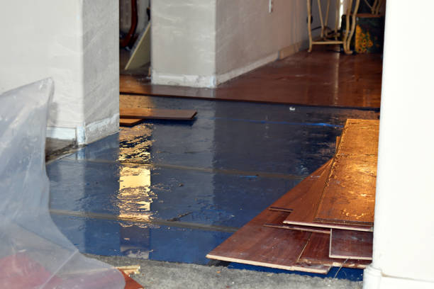 Professional Water Damage Restoration technician working in Rogers, ND